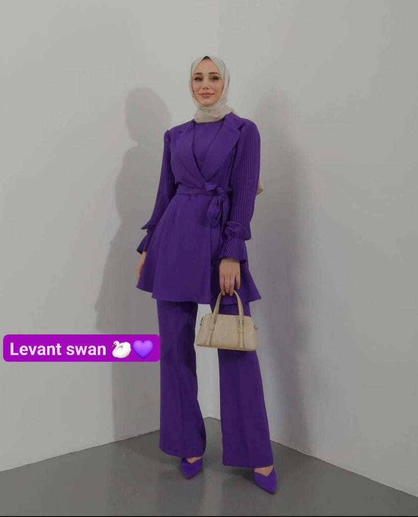 Pleated Sleeve Pantsuit